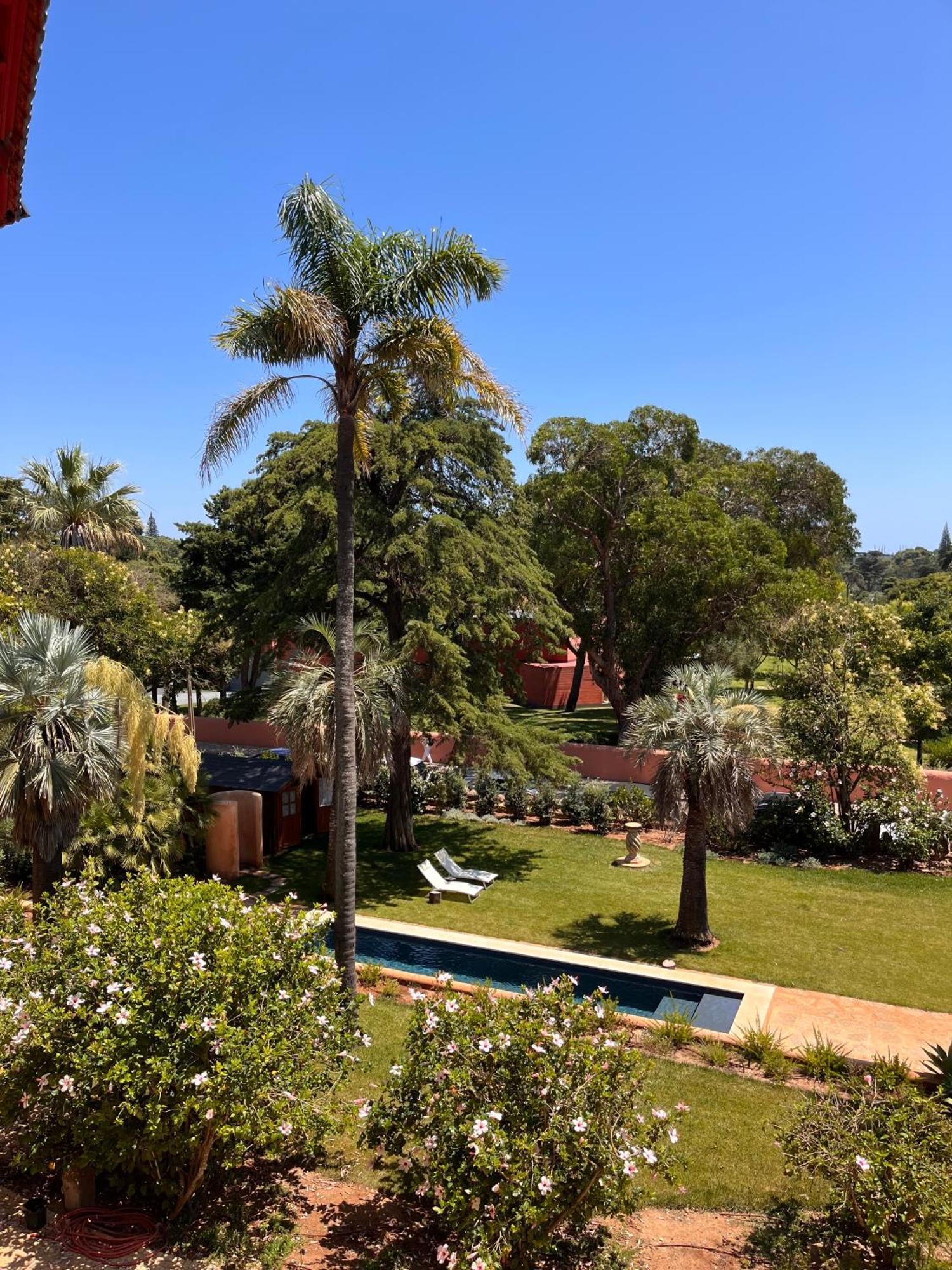 Chalet Ficalho Κασκαΐς Εξωτερικό φωτογραφία