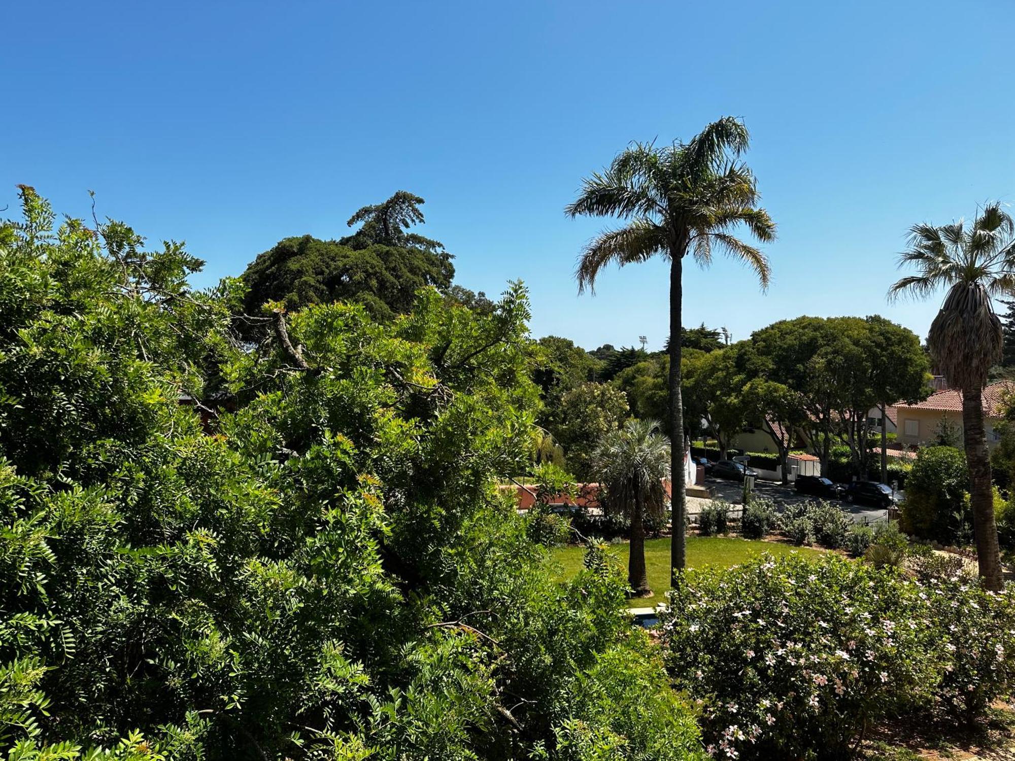 Chalet Ficalho Κασκαΐς Εξωτερικό φωτογραφία